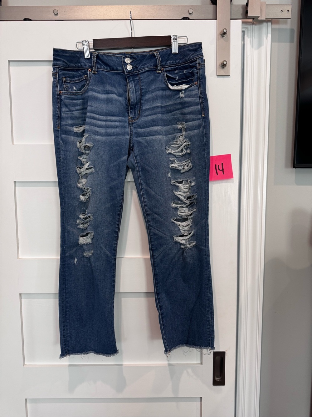 American Eagle ARTIST CROP
